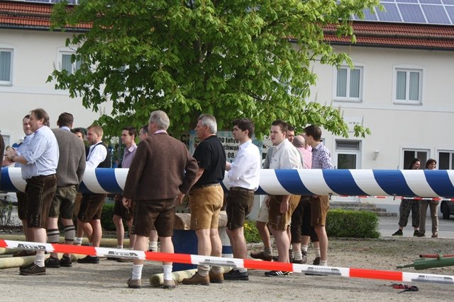 Maibaum 2013